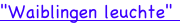 shapeimage_2_link_7