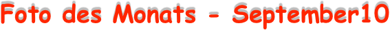 Foto des Monats - September10