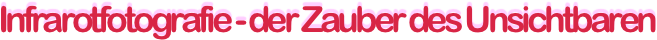 Infrarotfotografie - der Zauber des Unsichtbaren