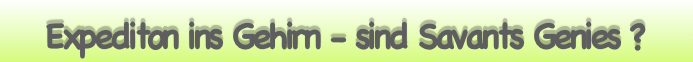 Expediton ins Gehirn - sind Savants Genies ?