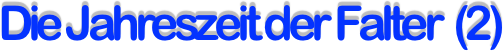 Die Jahreszeit der Falter  (2)