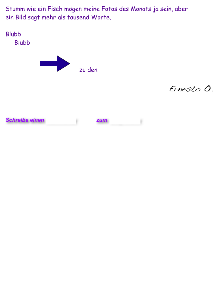 Stumm wie ein Fisch mögen meine Fotos des Monats ja sein, aber
ein Bild sagt mehr als tausend Worte. 

Blubb
     Blubb

                   ￼     zu den Fotos des Monats 2010       
   
Ernesto O.
  

                           

Schreibe einen Kommentar         zum Blog-Archiv