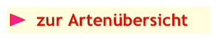 ￼  zur Artenübersicht 