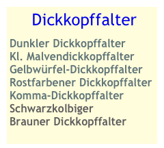  Dickkopffalter
Dunkler Dickkopffalter
Kl. Malvendickkopffalter
Gelbwürfel-Dickkopffalter
Rostfarbener Dickkopffalter
Komma-Dickkopffalter
Schwarzkolbiger Brauner Dickkopffalter
 