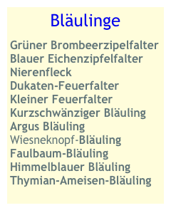 Bläulinge
Grüner Brombeerzipelfalter
Blauer Eichenzipfelfalter
Nierenfleck
Dukaten-Feuerfalter
Kleiner Feuerfalter
Kurzschwänziger Bläuling
Argus Bläuling
Wiesneknopf-Bläuling
Faulbaum-Bläuling
Himmelblauer Bläuling
Thymian-Ameisen-Bläuling
