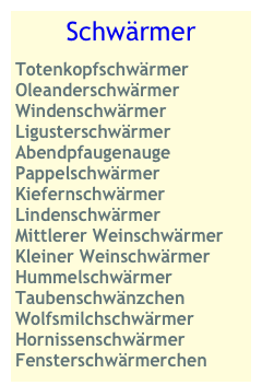 Schwärmer
Totenkopfschwärmer
Oleanderschwärmer
Windenschwärmer
Ligusterschwärmer
Abendpfaugenauge
Pappelschwärmer
Kiefernschwärmer
Lindenschwärmer
Mittlerer Weinschwärmer
Kleiner Weinschwärmer
Hummelschwärmer
Taubenschwänzchen
Wolfsmilchschwärmer
Hornissenschwärmer
Fensterschwärmerchen